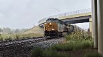 CSX 954 leads X215.